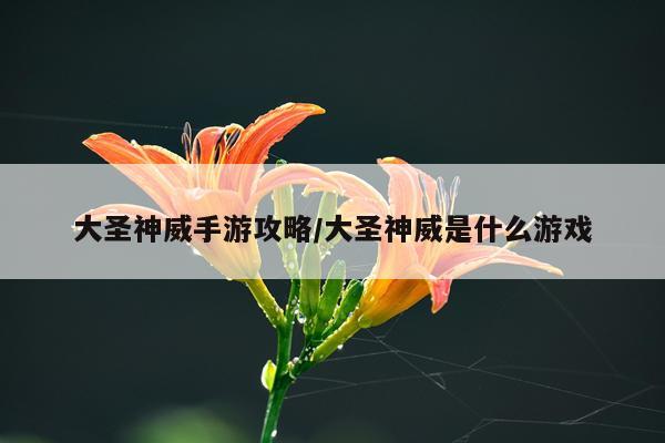 大圣神威手游攻略/大圣神威是什么游戏