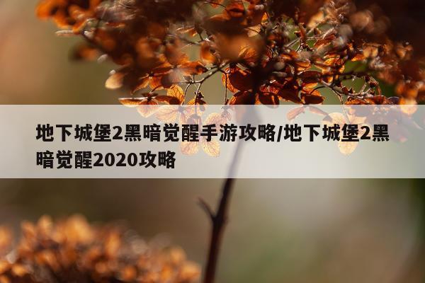 地下城堡2黑暗觉醒手游攻略/地下城堡2黑暗觉醒2020攻略
