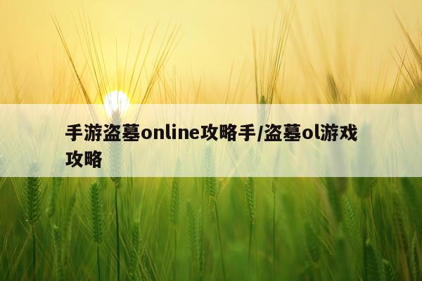 手游盗墓online攻略手/盗墓ol游戏攻略