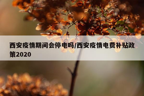 西安疫情期间会停电吗/西安疫情电费补贴政策2020
