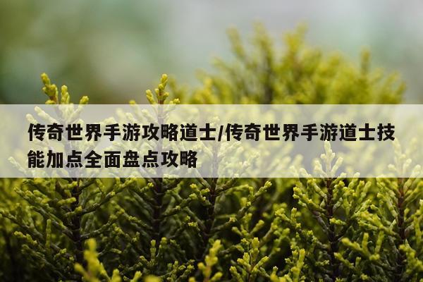 传奇世界手游攻略道士/传奇世界手游道士技能加点全面盘点攻略