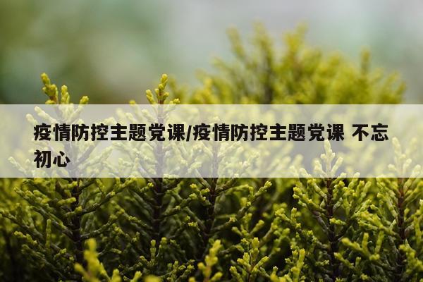 疫情防控主题党课/疫情防控主题党课 不忘初心
