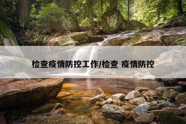检查疫情防控工作/检查 疫情防控