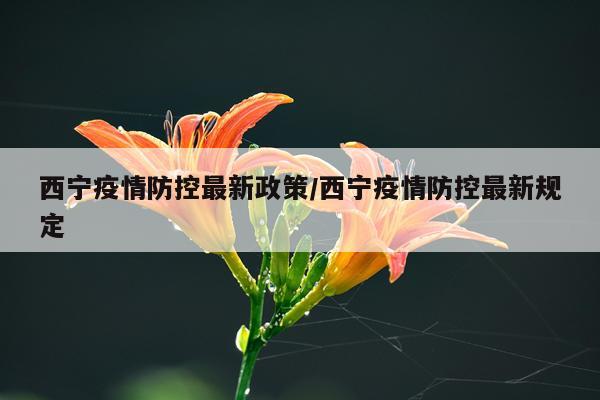 西宁疫情防控最新政策/西宁疫情防控最新规定