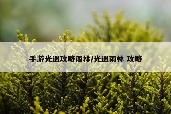 手游光遇攻略雨林/光遇雨林 攻略