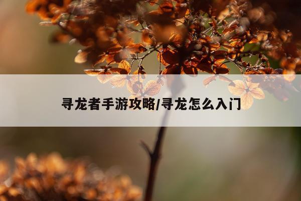 寻龙者手游攻略/寻龙怎么入门