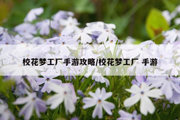 校花梦工厂手游攻略/校花梦工厂 手游