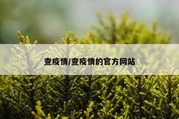 查疫情/查疫情的官方网站