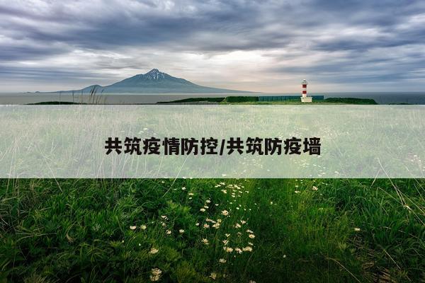 共筑疫情防控/共筑防疫墙