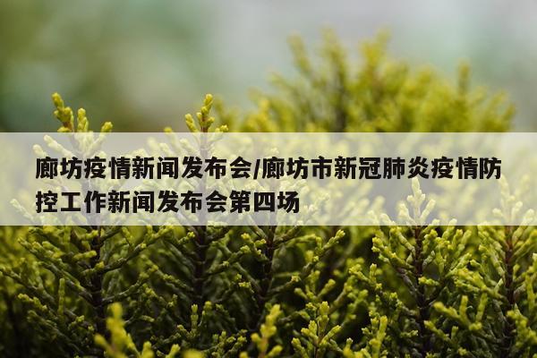 廊坊疫情新闻发布会/廊坊市新冠肺炎疫情防控工作新闻发布会第四场