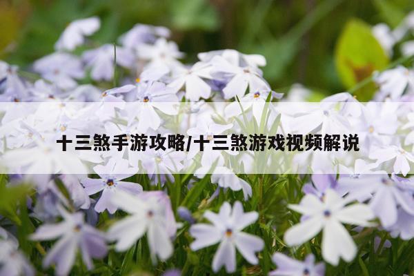 十三煞手游攻略/十三煞游戏视频解说