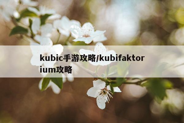 kubic手游攻略/kubifaktorium攻略