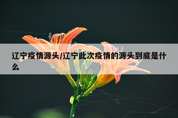 辽宁疫情源头/辽宁此次疫情的源头到底是什么