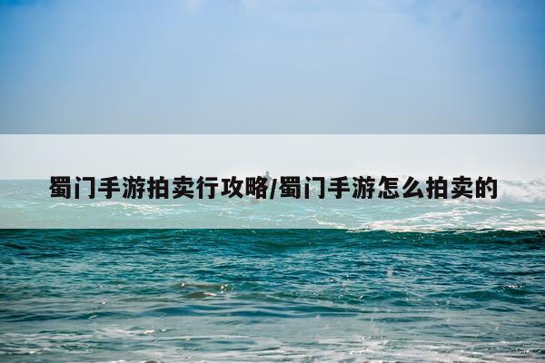 蜀门手游拍卖行攻略/蜀门手游怎么拍卖的