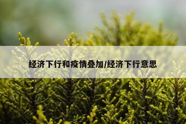 经济下行和疫情叠加/经济下行意思