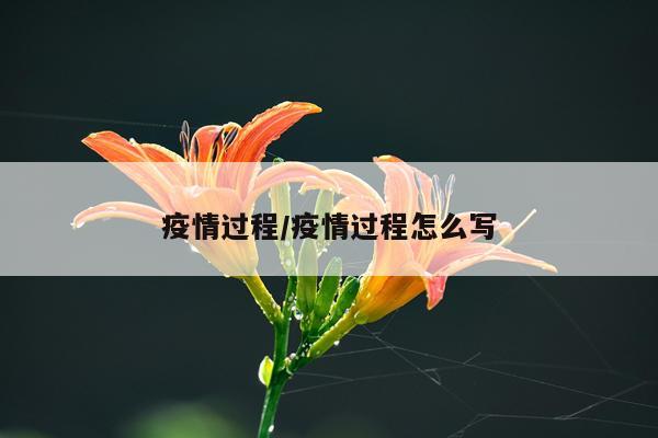疫情过程/疫情过程怎么写