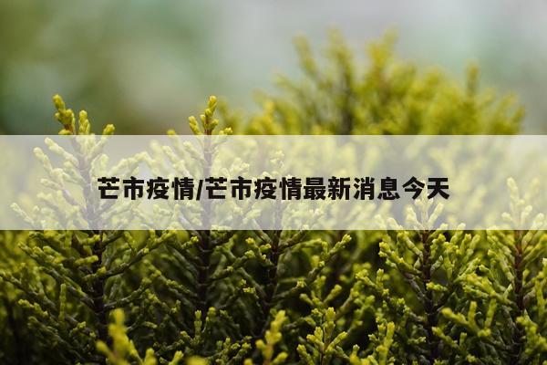 芒市疫情/芒市疫情最新消息今天