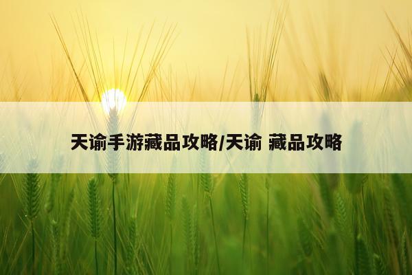 天谕手游藏品攻略/天谕 藏品攻略