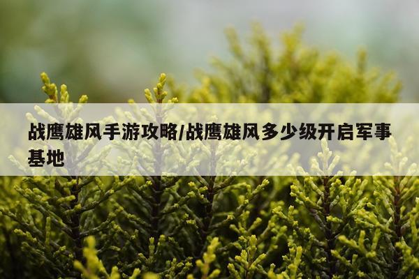 战鹰雄风手游攻略/战鹰雄风多少级开启军事基地