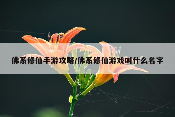 佛系修仙手游攻略/佛系修仙游戏叫什么名字