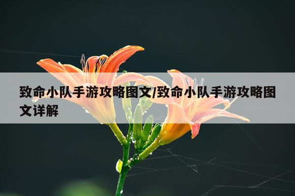 致命小队手游攻略图文/致命小队手游攻略图文详解