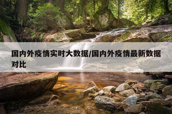 国内外疫情实时大数据/国内外疫情最新数据对比