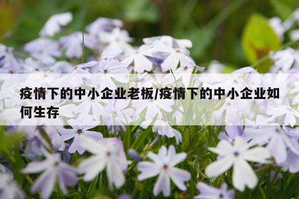 疫情下的中小企业老板/疫情下的中小企业如何生存