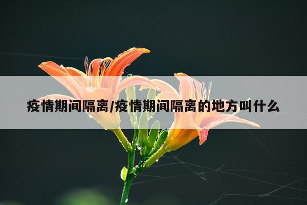 疫情期间隔离/疫情期间隔离的地方叫什么