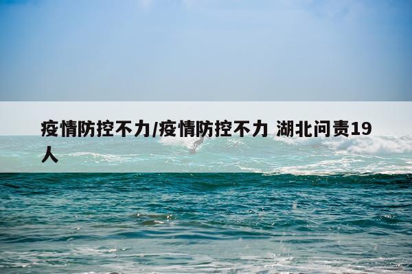 疫情防控不力/疫情防控不力 湖北问责19人