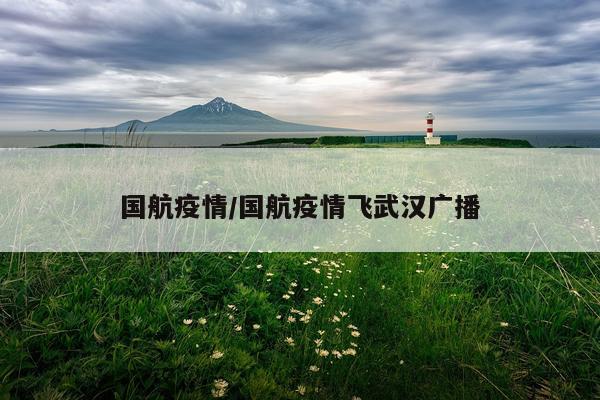 国航疫情/国航疫情飞武汉广播