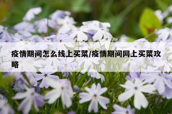 疫情期间怎么线上买菜/疫情期间网上买菜攻略