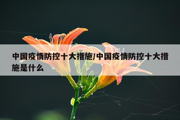 中国疫情防控十大措施/中国疫情防控十大措施是什么