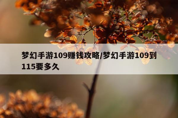 梦幻手游109赚钱攻略/梦幻手游109到115要多久