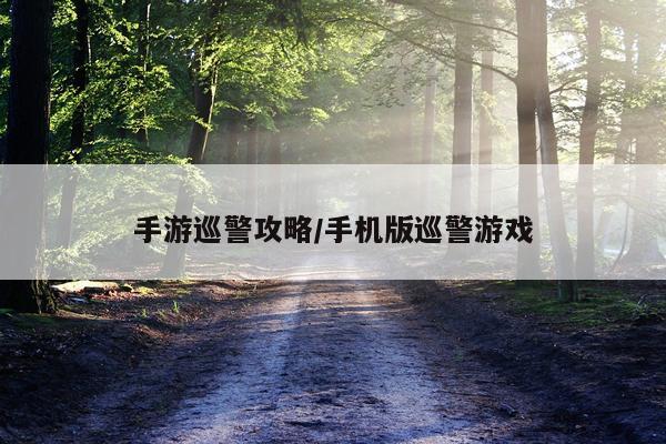 手游巡警攻略/手机版巡警游戏