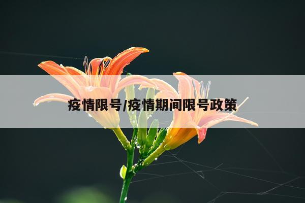 疫情限号/疫情期间限号政策