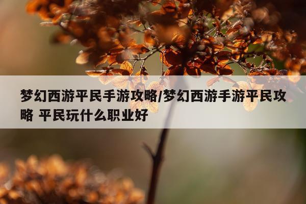 梦幻西游平民手游攻略/梦幻西游手游平民攻略 平民玩什么职业好
