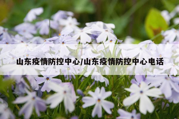 山东疫情防控中心/山东疫情防控中心电话