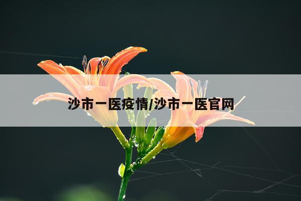 沙市一医疫情/沙市一医官网