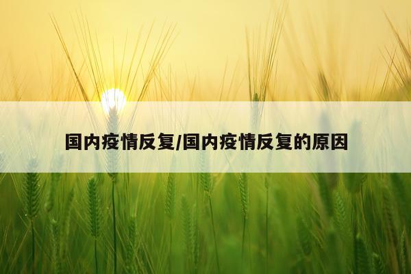 国内疫情反复/国内疫情反复的原因