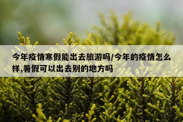 今年疫情寒假能出去旅游吗/今年的疫情怎么样,暑假可以出去别的地方吗