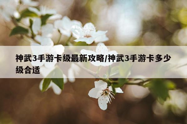 神武3手游卡级最新攻略/神武3手游卡多少级合适