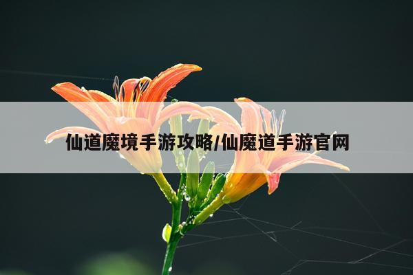 仙道魔境手游攻略/仙魔道手游官网