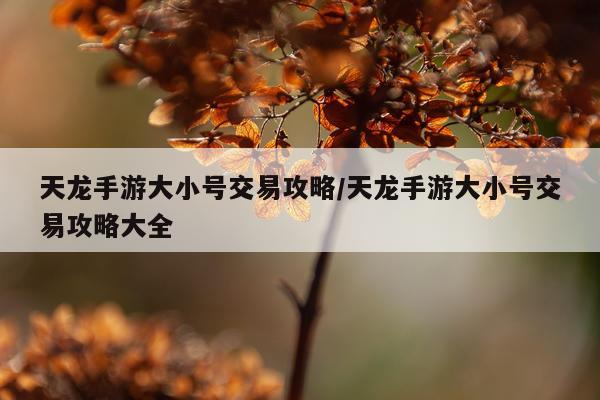 天龙手游大小号交易攻略/天龙手游大小号交易攻略大全