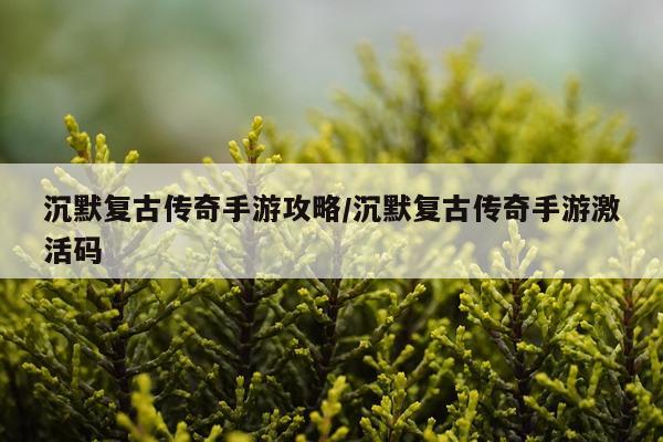 沉默复古传奇手游攻略/沉默复古传奇手游激活码