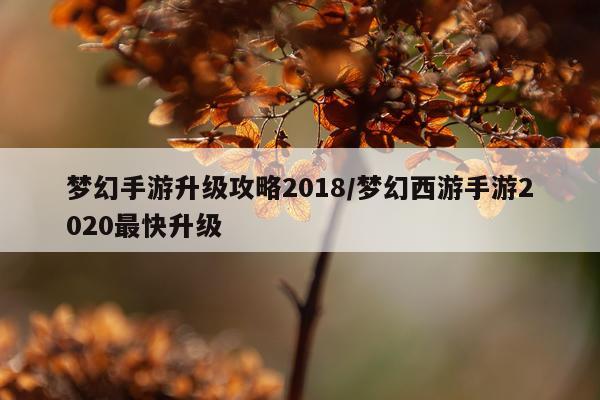 梦幻手游升级攻略2018/梦幻西游手游2020最快升级