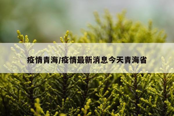 疫情青海/疫情最新消息今天青海省