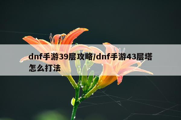 dnf手游39层攻略/dnf手游43层塔怎么打法