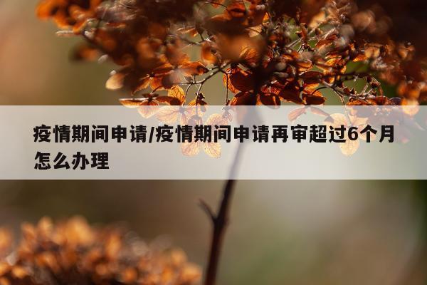 疫情期间申请/疫情期间申请再审超过6个月怎么办理