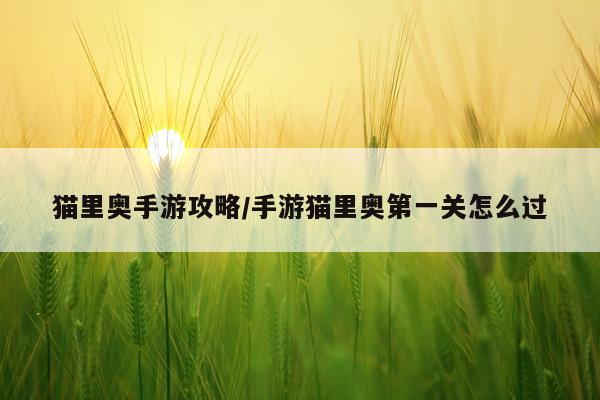 猫里奥手游攻略/手游猫里奥第一关怎么过
