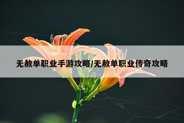 无赦单职业手游攻略/无赦单职业传奇攻略